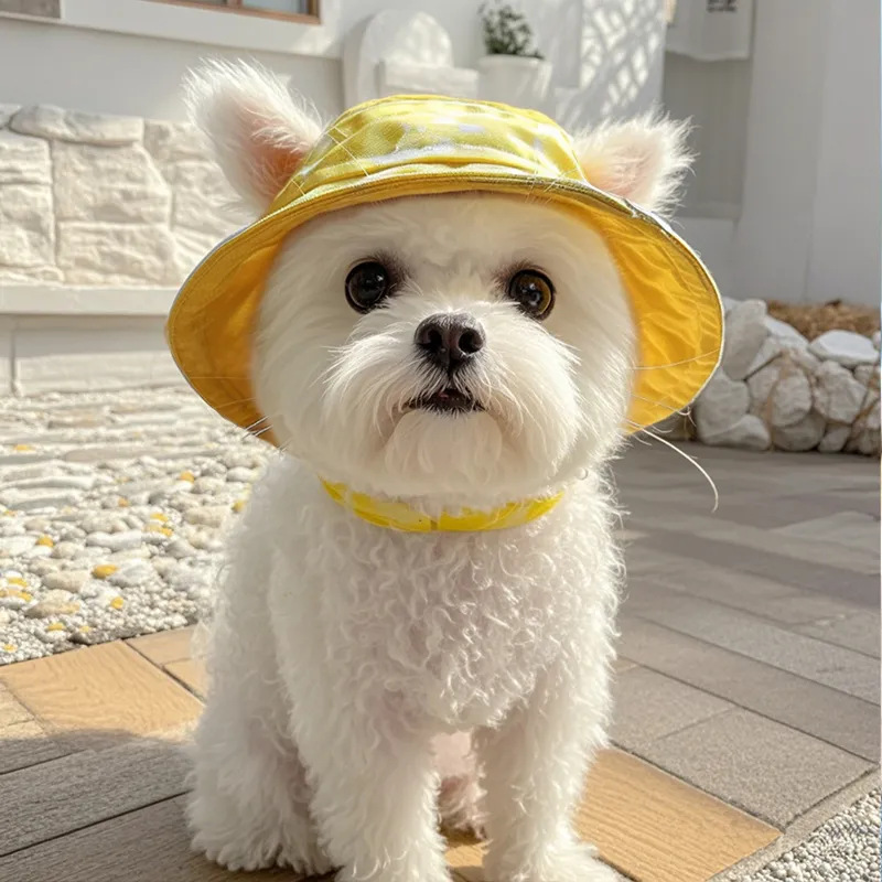 Sombrero para mascotas con orejas expuestas anti-pérdida de pelo ajustable sombrero pequeño para perros — imagen 12
