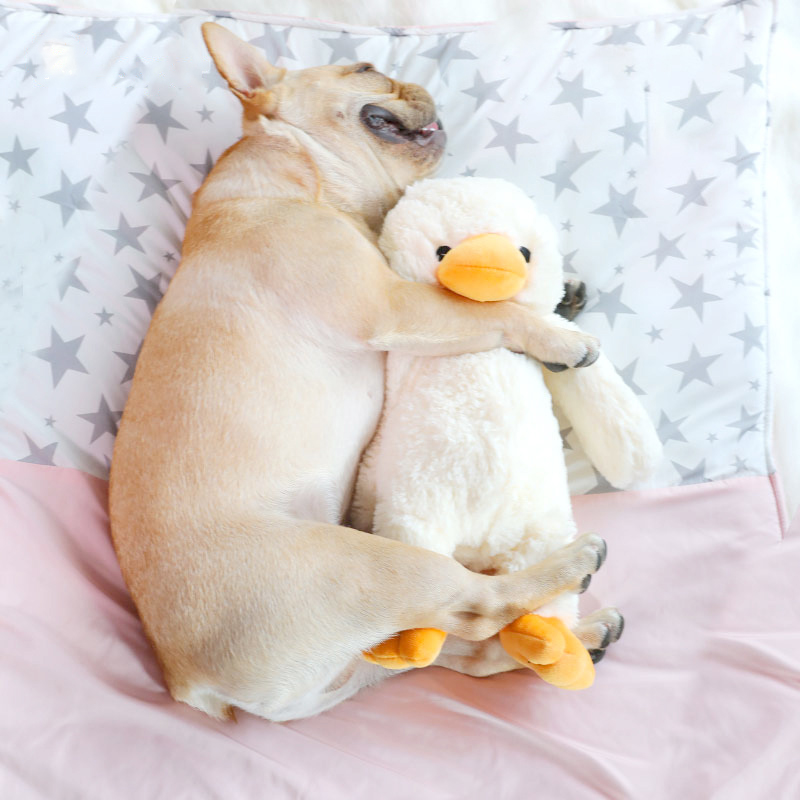 Juguetes para Mascotas - Ositos de Plush para Perros — imagen 4