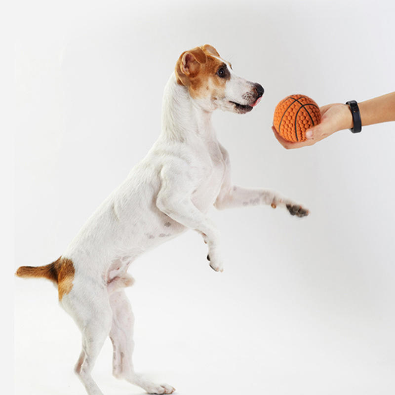 Latex brown blue basketball throw interactive grinding teeth to relieve boredom and retrieve dog toys — image 3