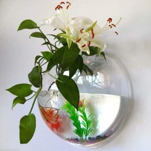 Acuario de Peces Suspendido — imagen 5