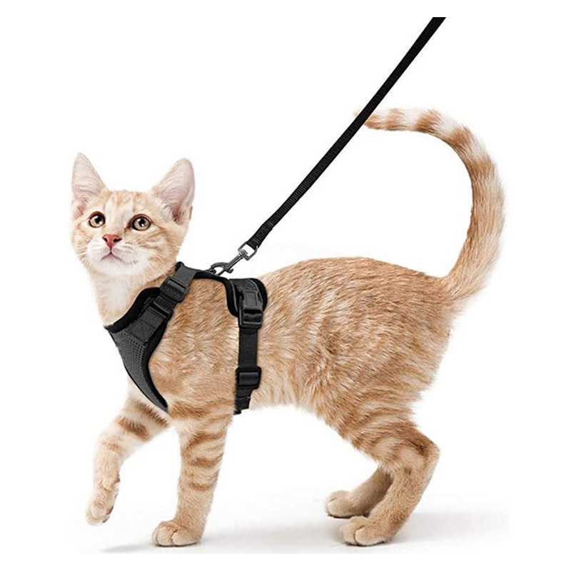 Arnes y Correa para Gatos con Control Fácil, Inescapable - Arnes de Vestido Suaves y Ajustables para Pasear a los Gatos — imagen 10