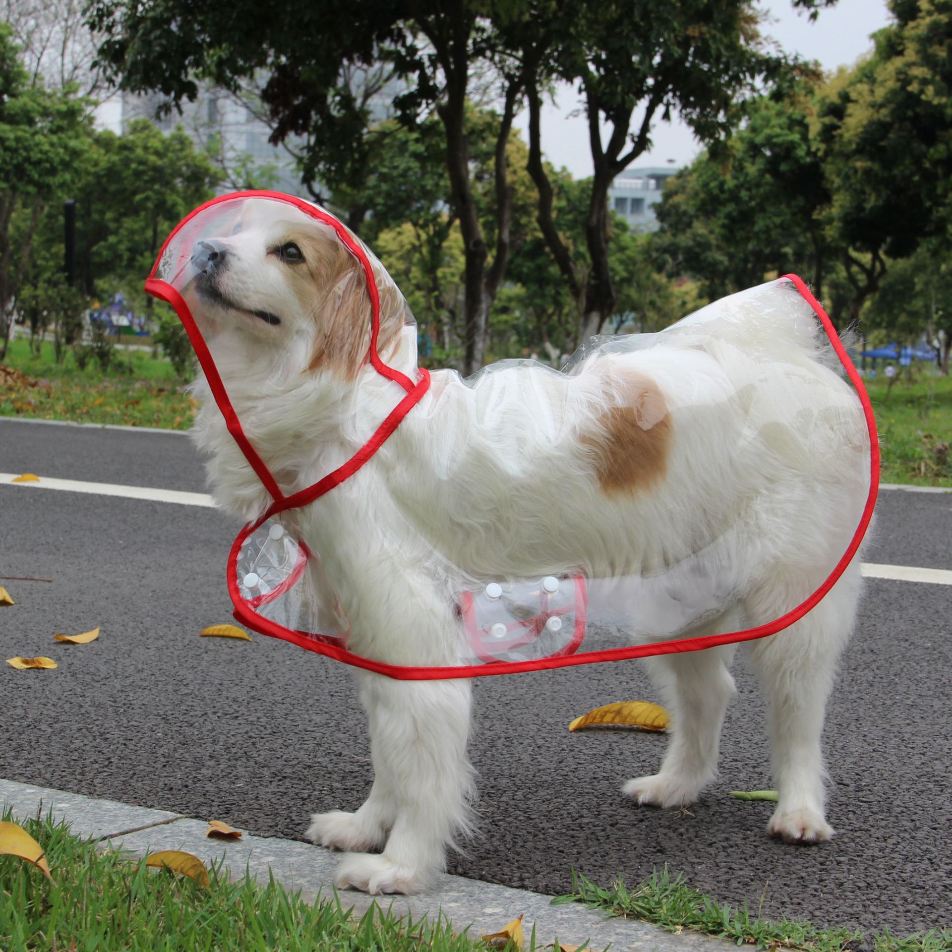 Pet Supplies Dog Raincoat Teddy Small And Medium-Sized Dogs New Transparent Plastic Fashion Poncho Pet Raincoat — image 9