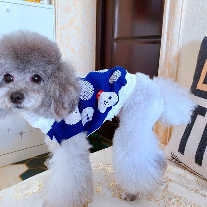 Teddy/Bichon/Maltese Winter Warm Sweater - Cute Fruit-Print Knit — image 5
