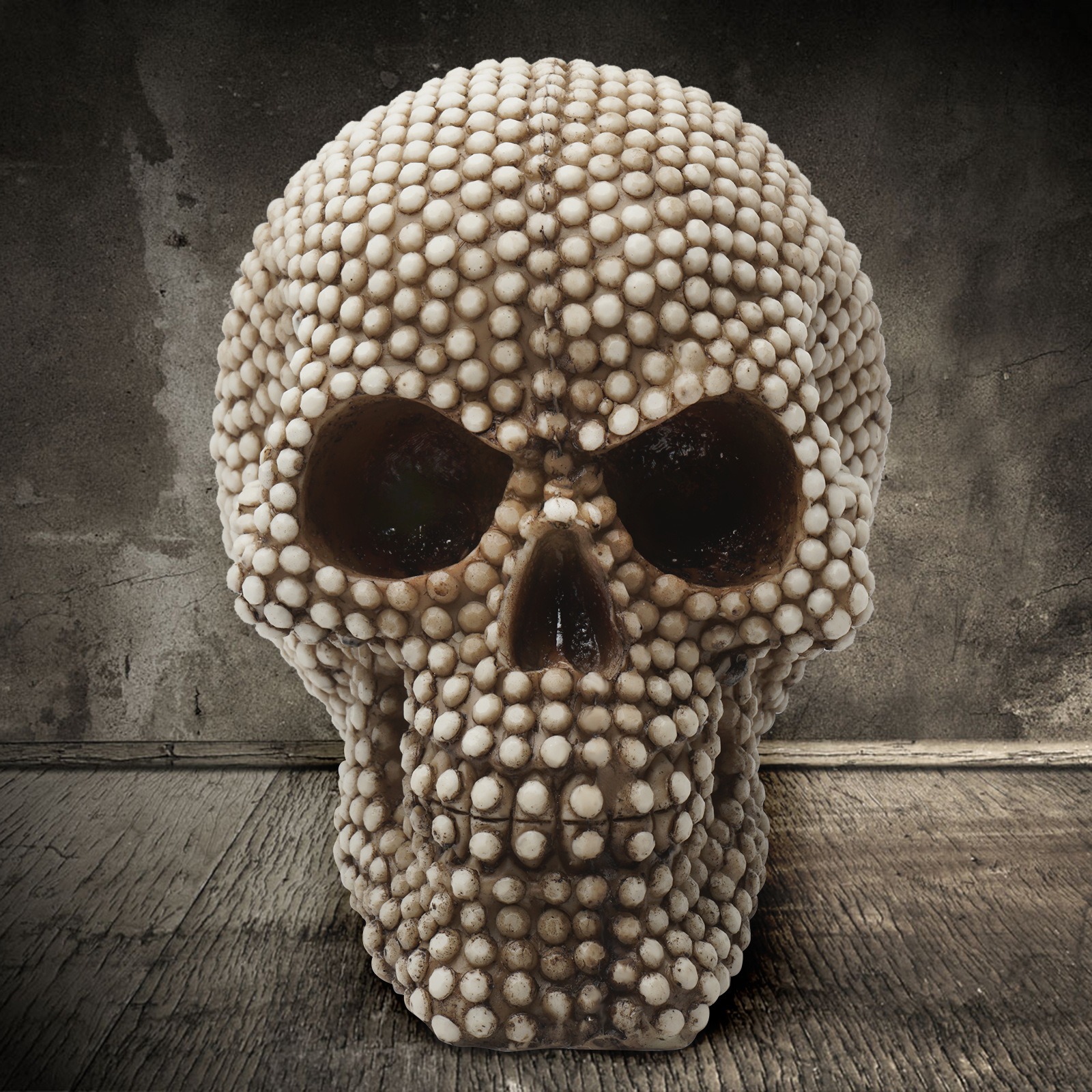 Cabeza de Calavera Cabeza de Calavera Adorno de Cráneo Animal — imagen 4