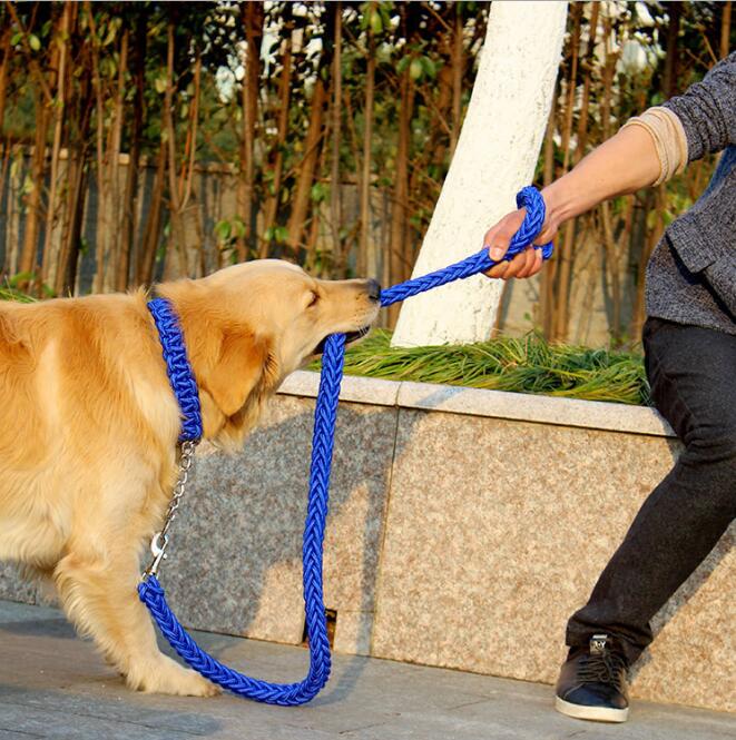 Double Strand Rope Large Dog Leashes Metal P Chain Buckle Contrast Colorful Pet Traction Rope Collar Set Firm 1.2m Length — image 2