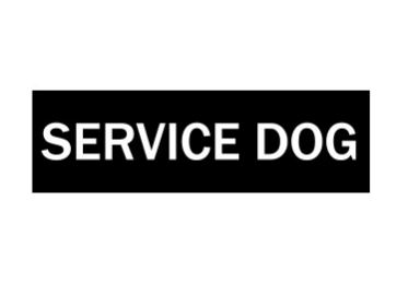 2 Piezas de Placas de Identificación Personalizadas Para Perro, Etiquetas Personalizadas Para Arnés y Collar de Perro, Adhesivo Para Correa Tipo Velcro — imagen 2