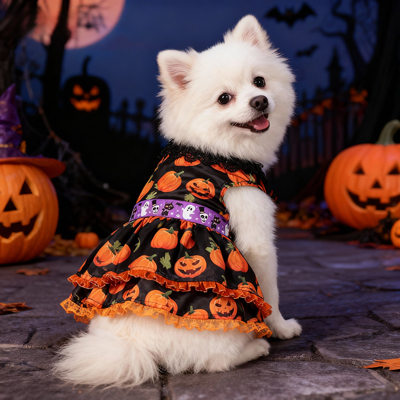 New Halloween Pet Dog Clothes for Medium and Small Dogs, Pumpkin Lace Dress — image 3