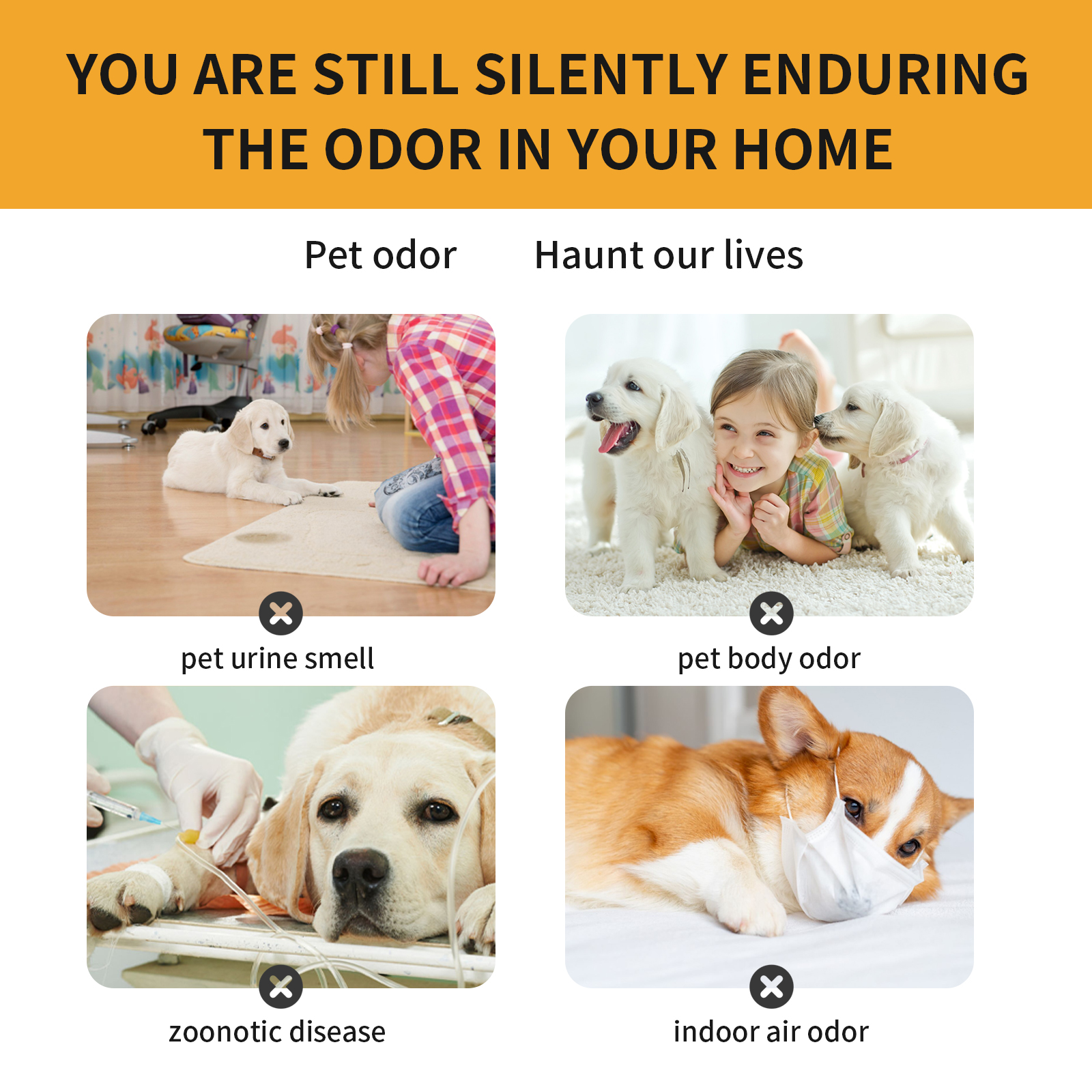 Pet Fabric Deodorizer Spray, Fresh Air Clean Pet Odors Indoor Air Fresh Long-Lasting Deodorant — image 6