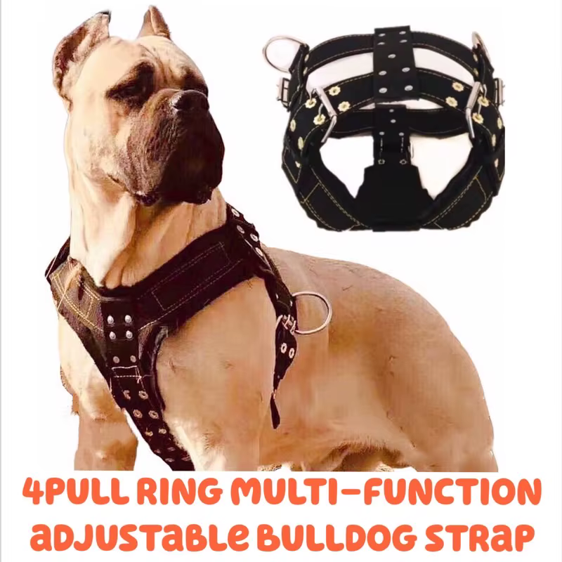 Arnes para Perros para Perros Grandes, Arnes para Pitbull Perro Arnes Collar Leash para Perros Accesorios de Moda para Mascotas — imagen 2