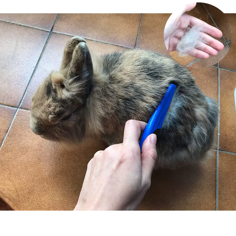 Rabbit Grooming Brush Small Pet Hair Remover Flea Comb Shampoo Bath Brush for Hamster Guinea Pig Rabbit Accessories — image 5
