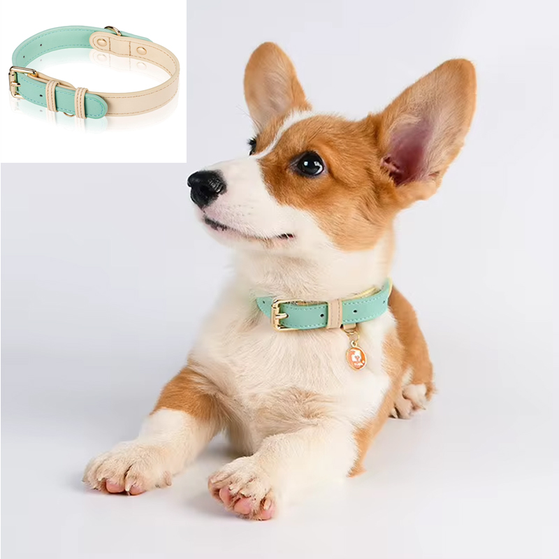 Collar de Perro en Cuero para Pequeños, Medianos y Grandes Caninos - Collar Básico Ajustable — imagen 1