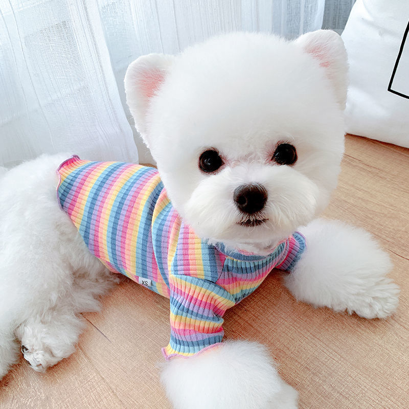 Rainbow Undercoat Dog Clothes Pet Clothes Cat Bears VIP Pomeranian Schnauzer Small Dog Clothes — image 5