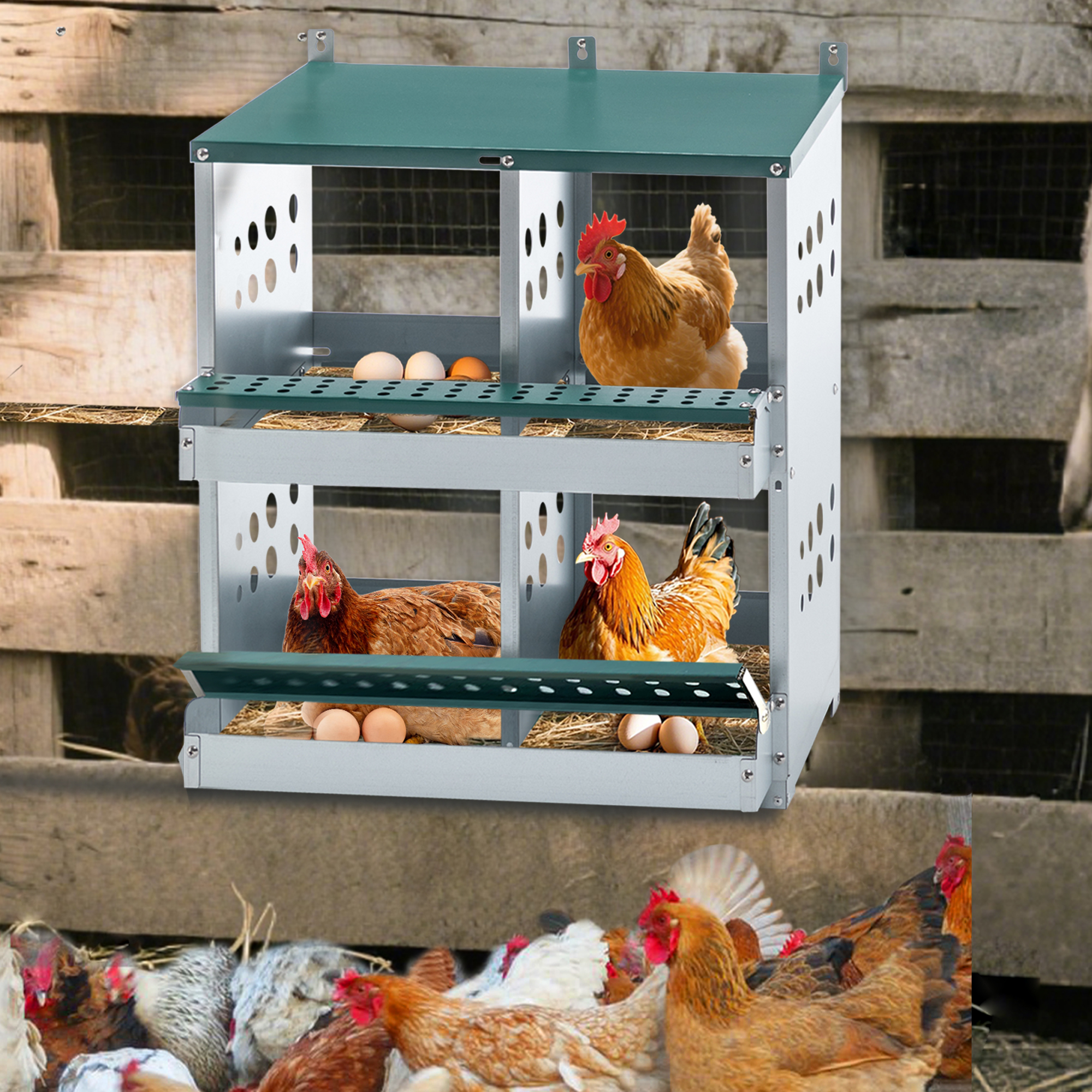 Nidales para Gallinas de 4 Compartimentos, Nidales Metálicos para Montaje en Pared, Caja Ponedora de Huevos para Diferentes Razas de Gallinas — imagen 8
