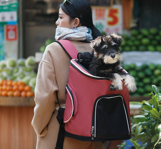 Mochila para Perros — imagen 5
