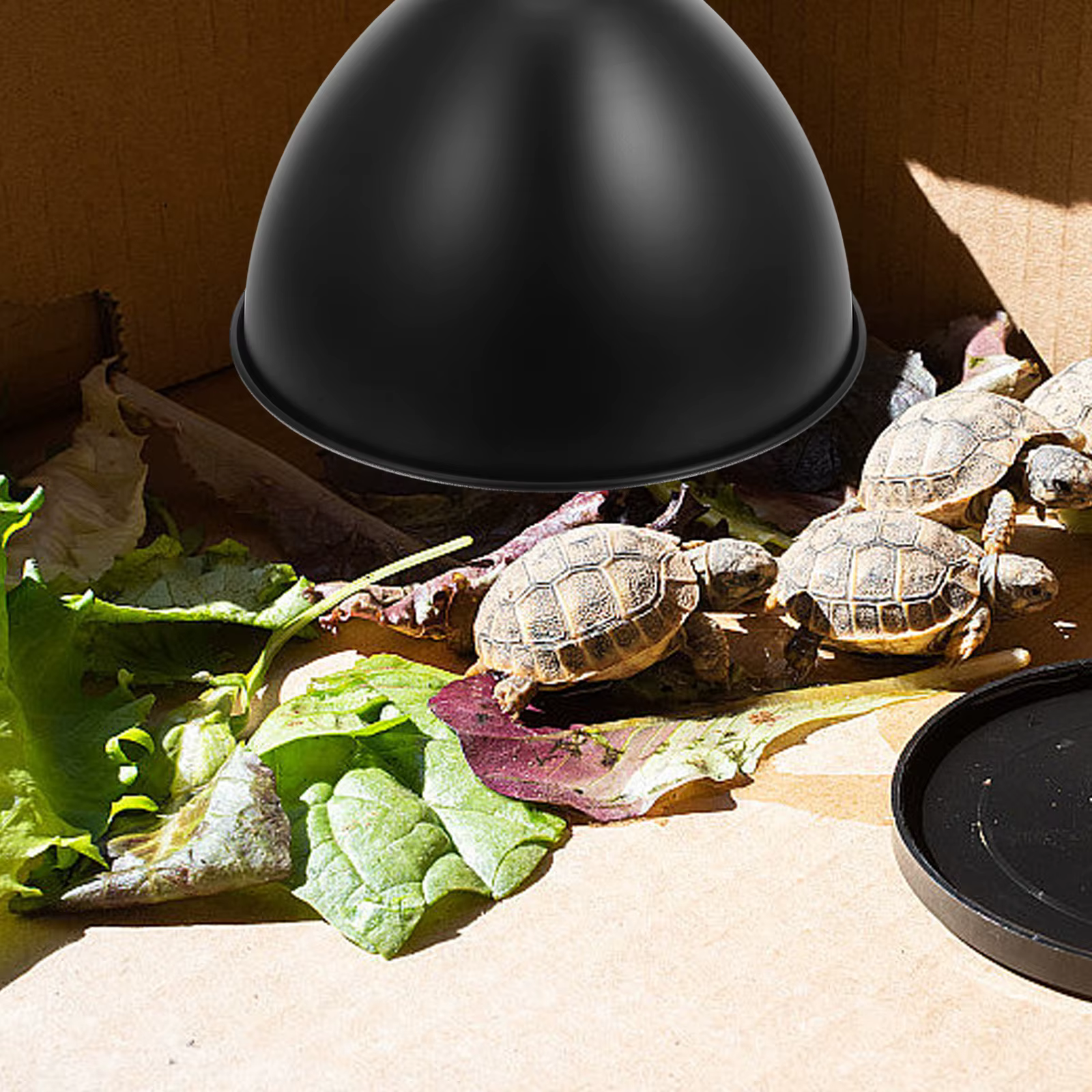 Lámpara de Calor Reflectorio para Reptiles - Soporte de Lámpara de Hierro — imagen 6