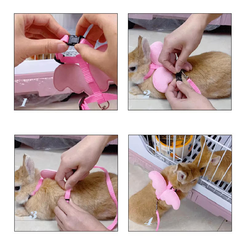 Cute Angel Wing Pet Rabbit Harness and Leash for Cats Rabbits Personalized Rabbit Harnesses Bunny Accessories Hamster Clothes — image 6