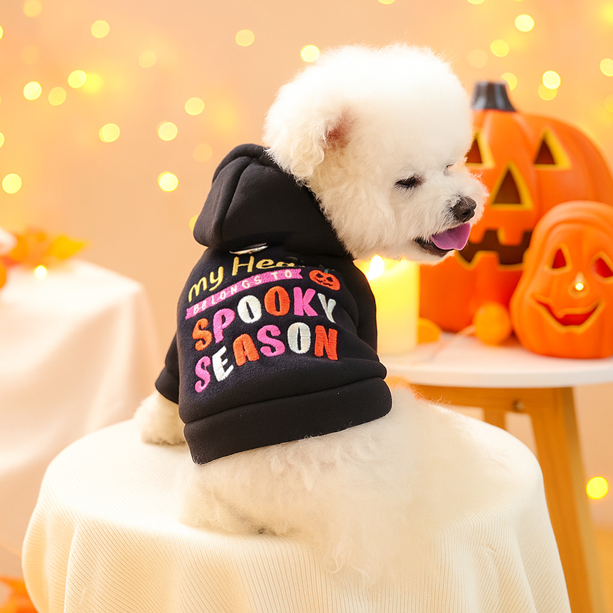 Pet Clothes Autumn Winter Small Dog Puppy Holiday Letter Embroidery Halloween Sweatshirt — image 2