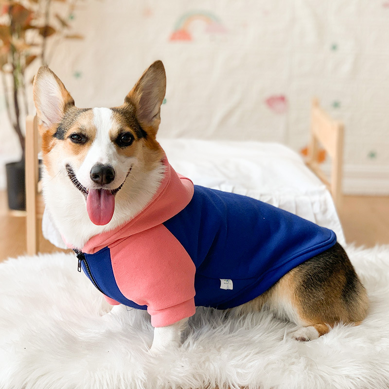 Ropa para Corgos de Primavera y Otoño - Prevenir Pérdida de Pelo - Ropa para Perros Pequeños y Medianos — imagen 1