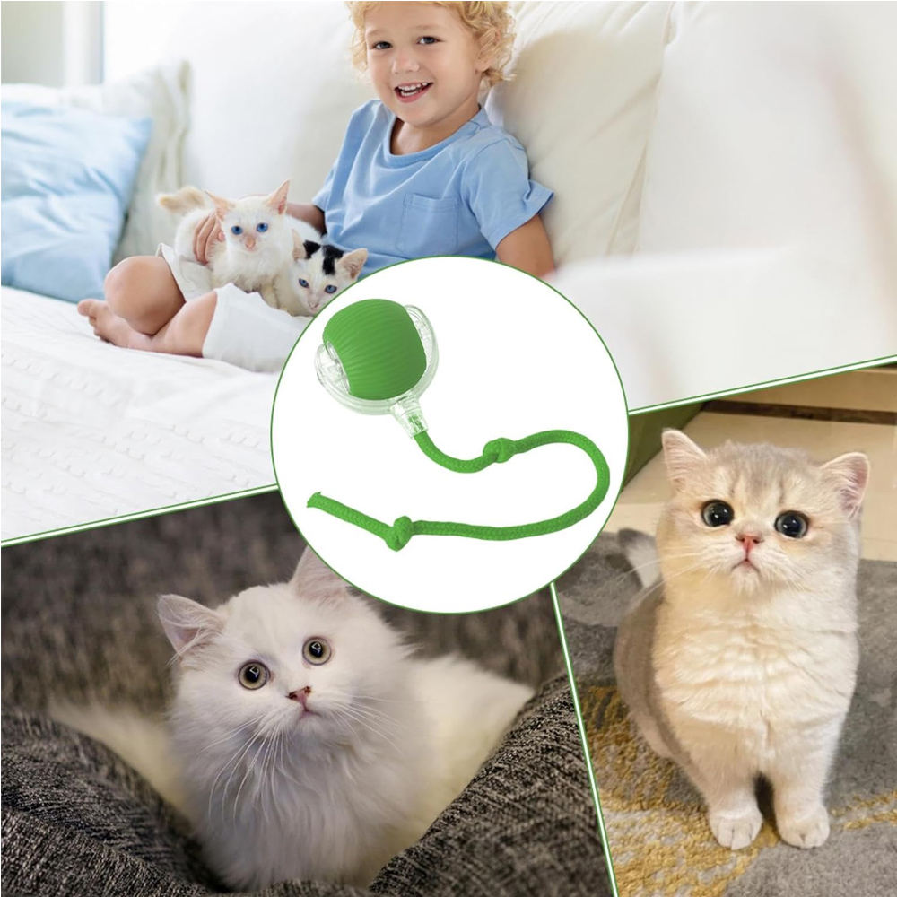 Electric Dog Cat Ball Toy, Indoor Large And Small Cat Dog Interactive Intelligent Rolling Pet Ball — image 2