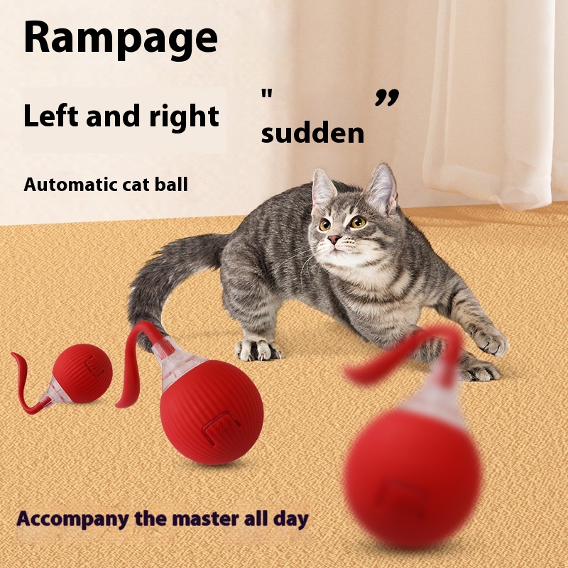 Pelota de Entretenimiento para Gatos Interactivo Super Movimiento — imagen 24