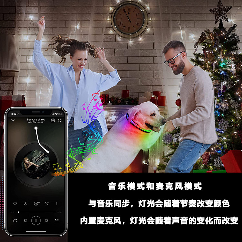 Nueva Collar de Led para Gatos y Perros Recargable por USB Controlado desde la App del Teléfono Móvil Suministros para Mascotas Collar Luminoso — imagen 2