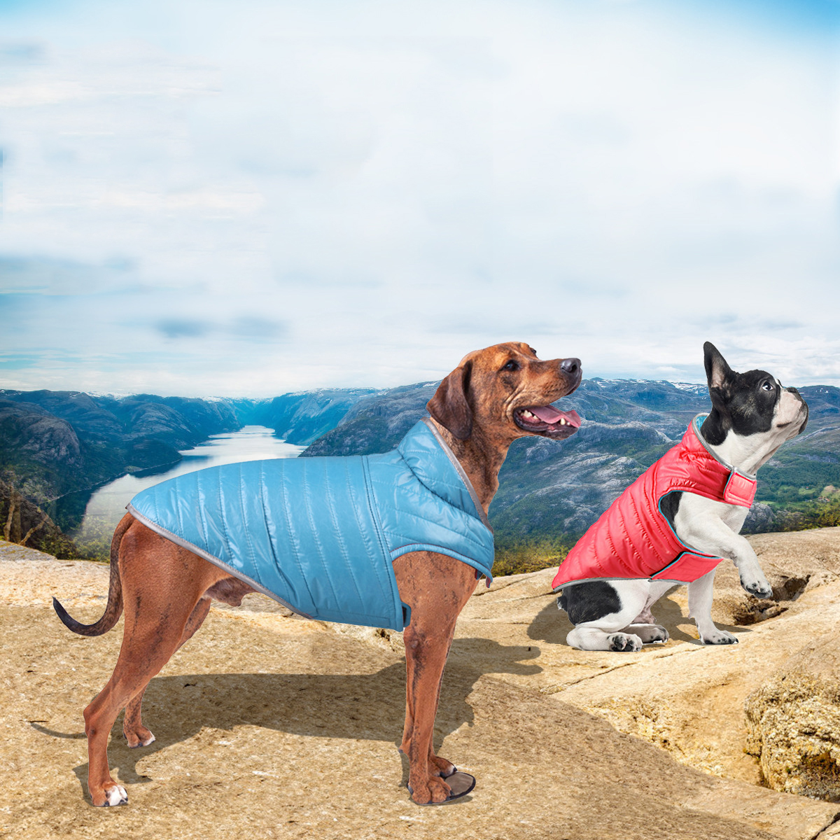 Ropa de Perro para Otoño - Vestido con Cinta Reflectante para Puppies y Perros Pequeños y Medianos, Malla de Algodón doblemente tejida — imagen 1