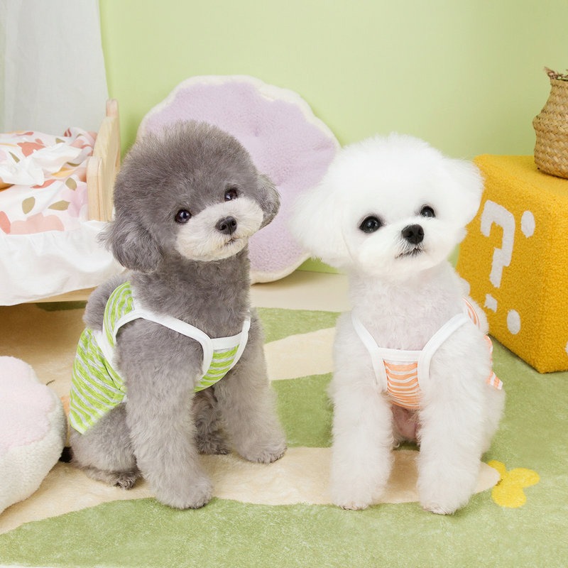 Conjunto de baño para mascotas - Vestimenta de playa para perros y animales — imagen 6
