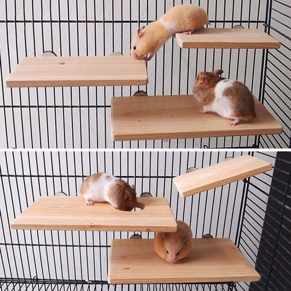 Pet Wood Stand Platform Bird Toys Parrot Rack Hamster Accessories Gerbils Mice Jumping Board Home Supplies — image 1