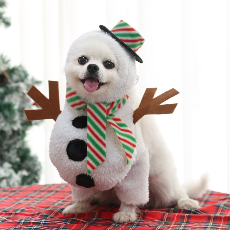 Pet Costume Outfit for Small Medium Dogs Cats Teddy Bichon Corgi Schnauzer Pomeranian — image 1