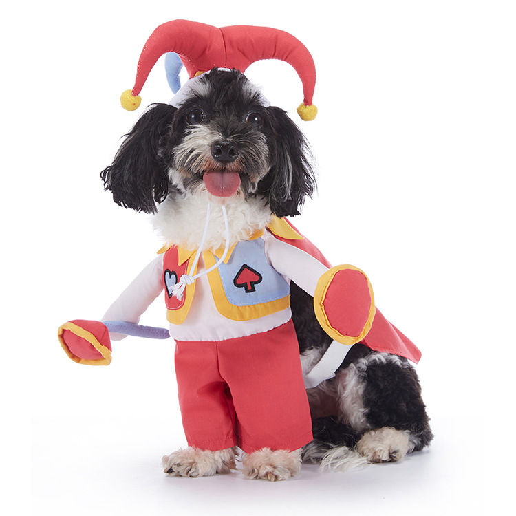 Standing funny dog clothing pet clothes — image 1