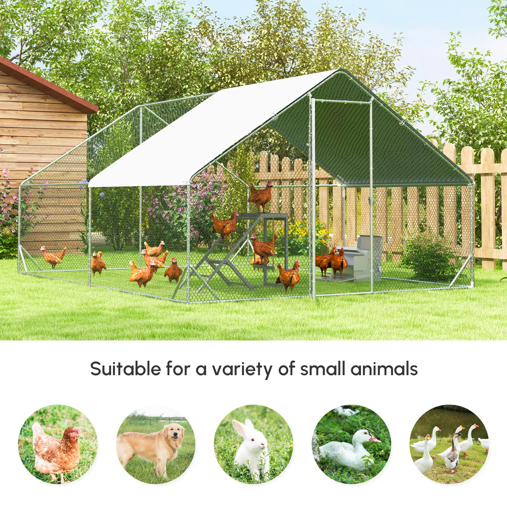 Chicken Coop — image 7