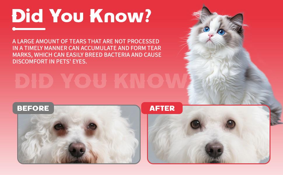 Pulidor de Manchas Lacrimales para Mascotas - Fórmula Natural y Suave, Cuidado Ocular y Peludo, Eliminación de Manchas y Brillantez — imagen 10