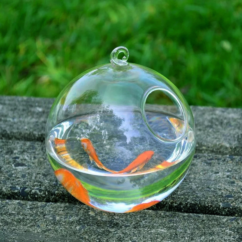 Vaso de Vidrio Suspendido para Acuario — imagen 5