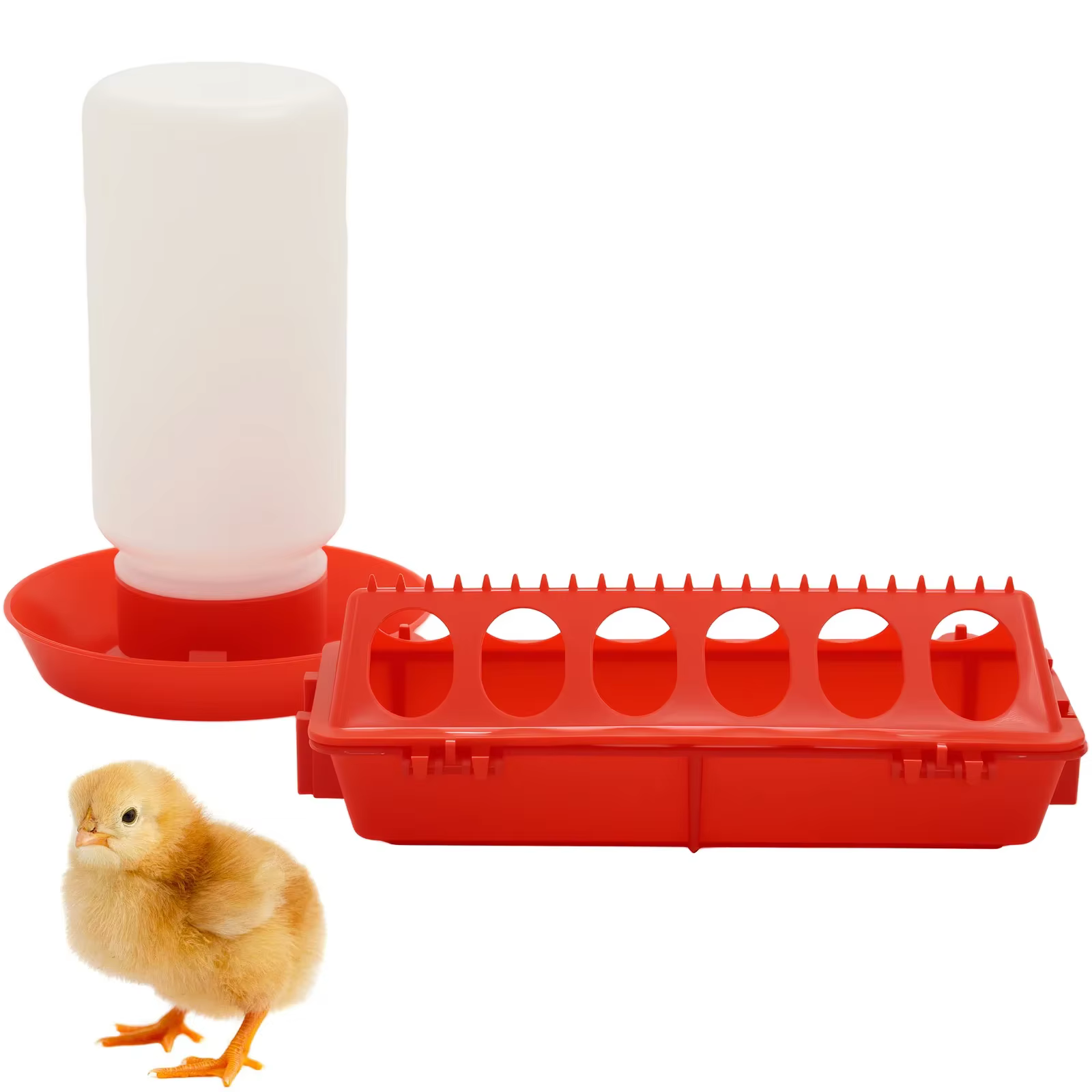 Alimentador Automático de Pollo y Agua para Corderos, Codornices y Pichones - Capacidad Grande — imagen 6