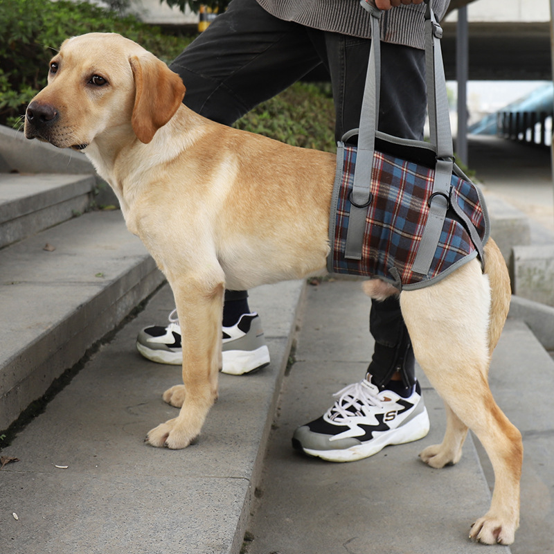 Pet Dog Leg Support Harness for Post-Surgery Recovery, Elderly Dogs, Large Breed Walking Assistance Brace — image 8