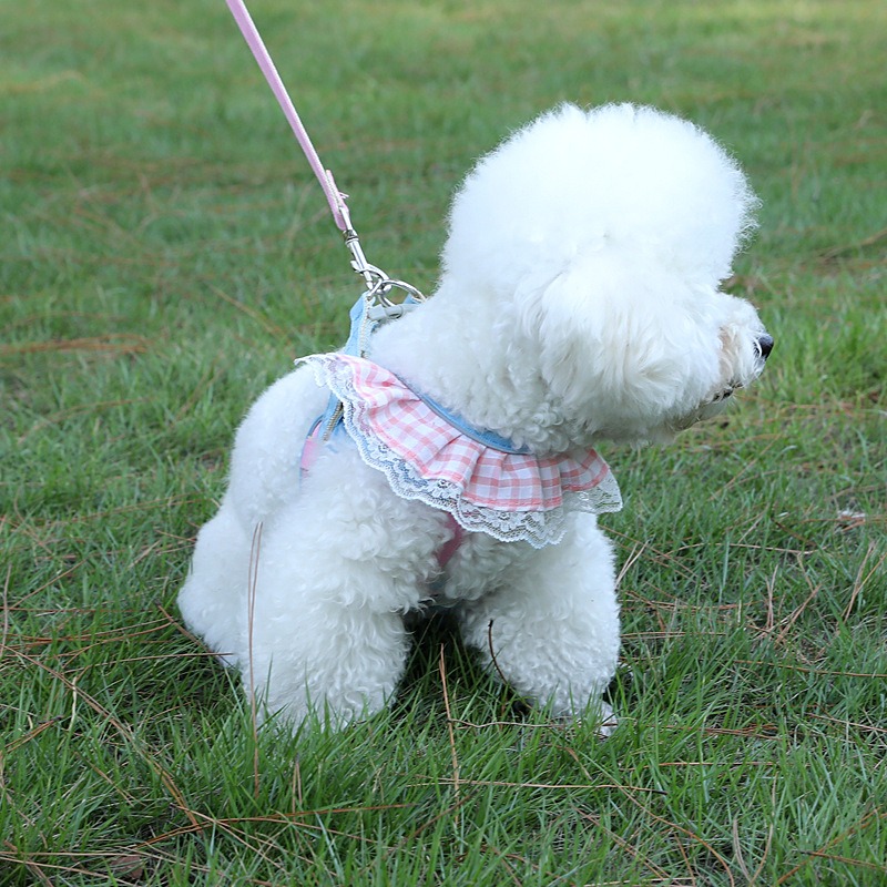 Fashion New Cat Anti-Breakaway Leash Small Dog Chest Strap Teddy Bichon Dog Chain Adjustable — image 4