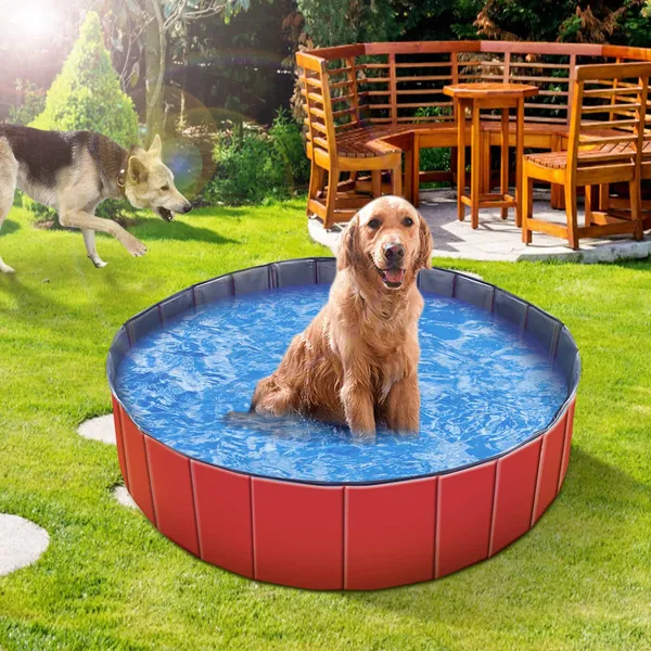 Piscina Portátil para Mascotas de PVC Plegable Baño de Perros y Gatos Playa Acuática — imagen 3