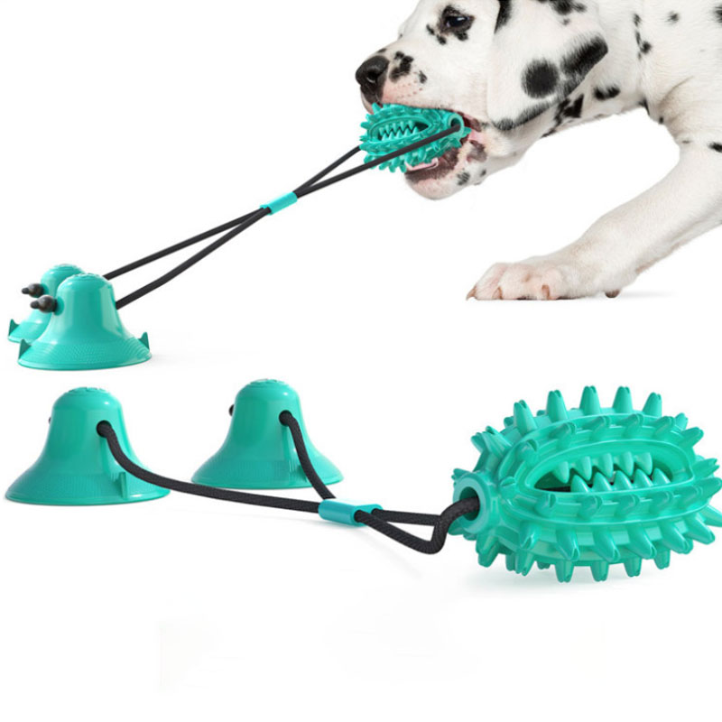 Pet Supplies New Cactus Ball Teething Stick Dog Toys Dog Suction Cup Venting Bite Resistant Toys — image 5