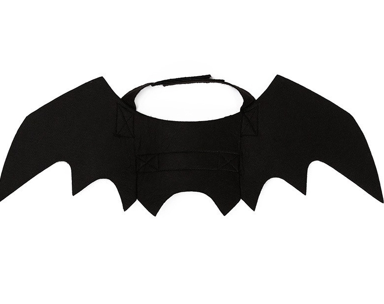 Cute Felt Bat Wings Halloween Costume Accessory for Small Dogs and Cats, Funny Pet Toy — image 1