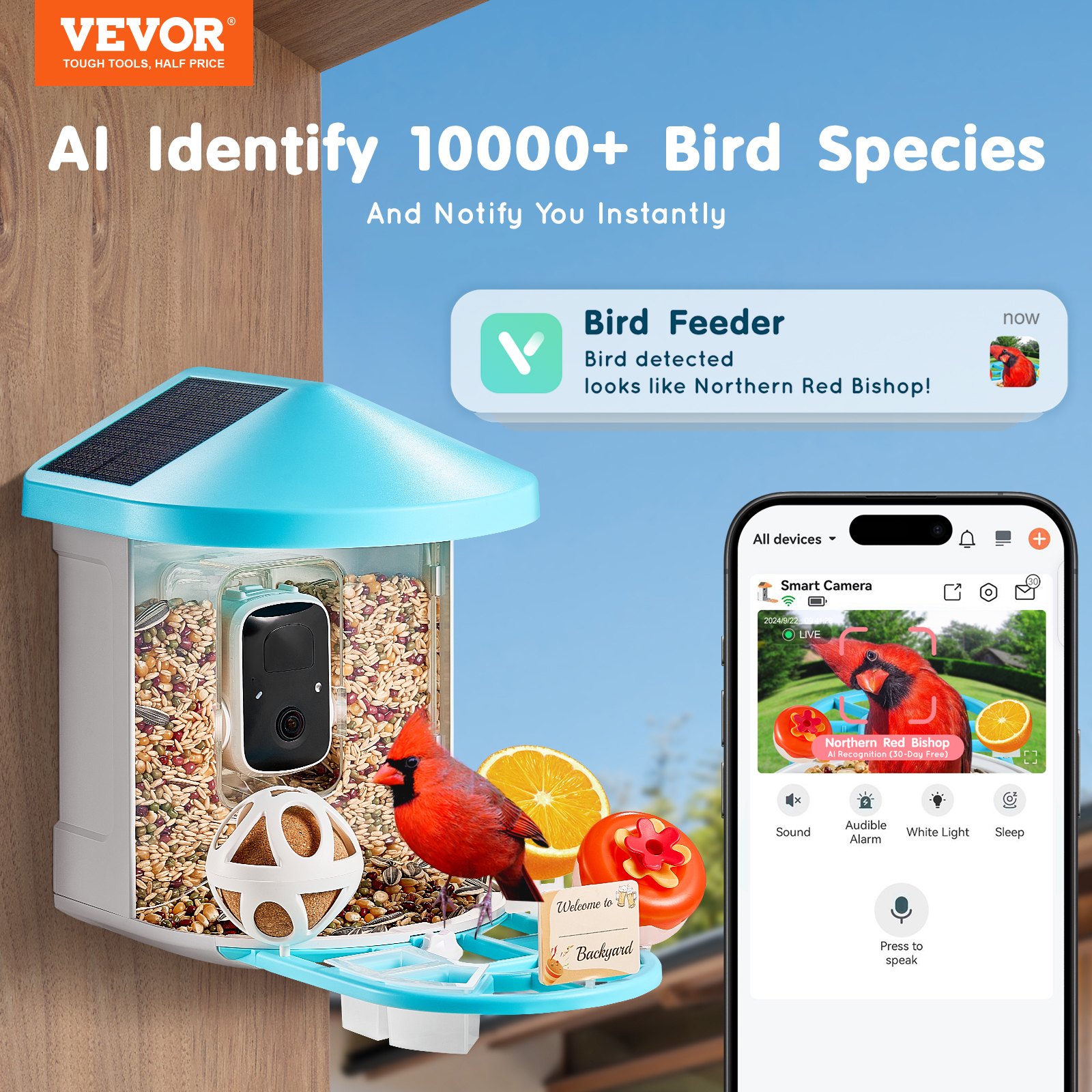 Comedor Inteligente de Pájaros con Cámara 2K HD Identifica Especies Aviares con AI Solar — imagen 2