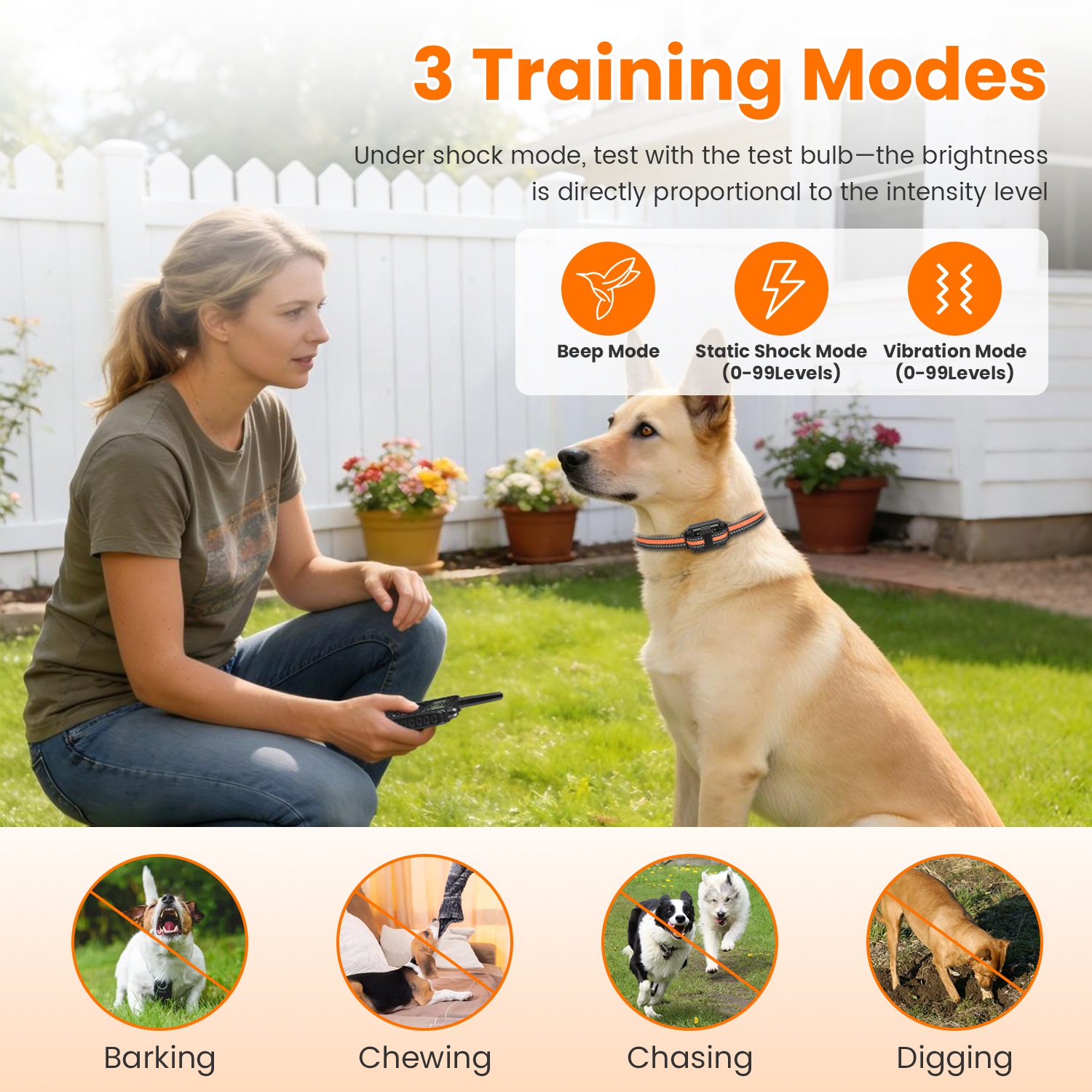 Collar de Adiestramiento para Perros con Control Remoto — imagen 18