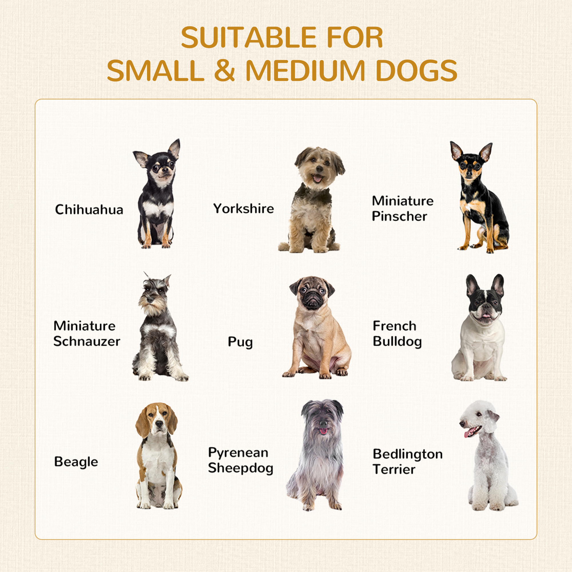 Caja de Comida Decorativa para Perros Pequeños con Sofá Acogedor, Cajón y Mesa de Entrada — imagen 6