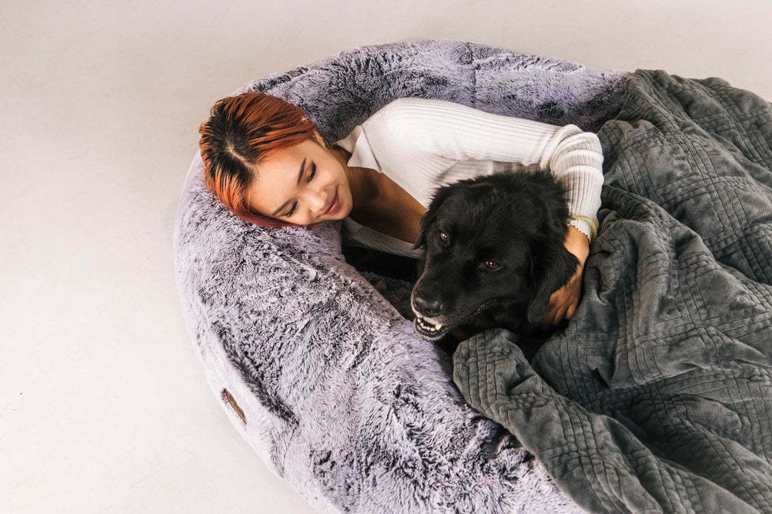 Dog Bed for Humans Portable Pet Bed Giant Dog Bed Human Bed Cat Bed Dog Bed — image 4
