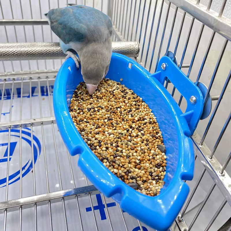 Plato de Alimento para Loros Multifuncional Azul Bautista Caja de Animales Estándar Baño Limpieza de Mascotas Juguetes para Aves — imagen 5