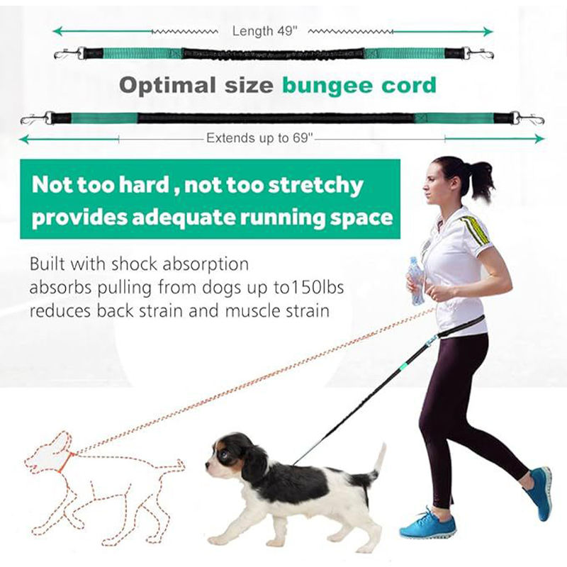 Traje de cuerda de salto con tracción para mascotas, bolsa de cintura deportiva reflectante para correr de noche — imagen 3