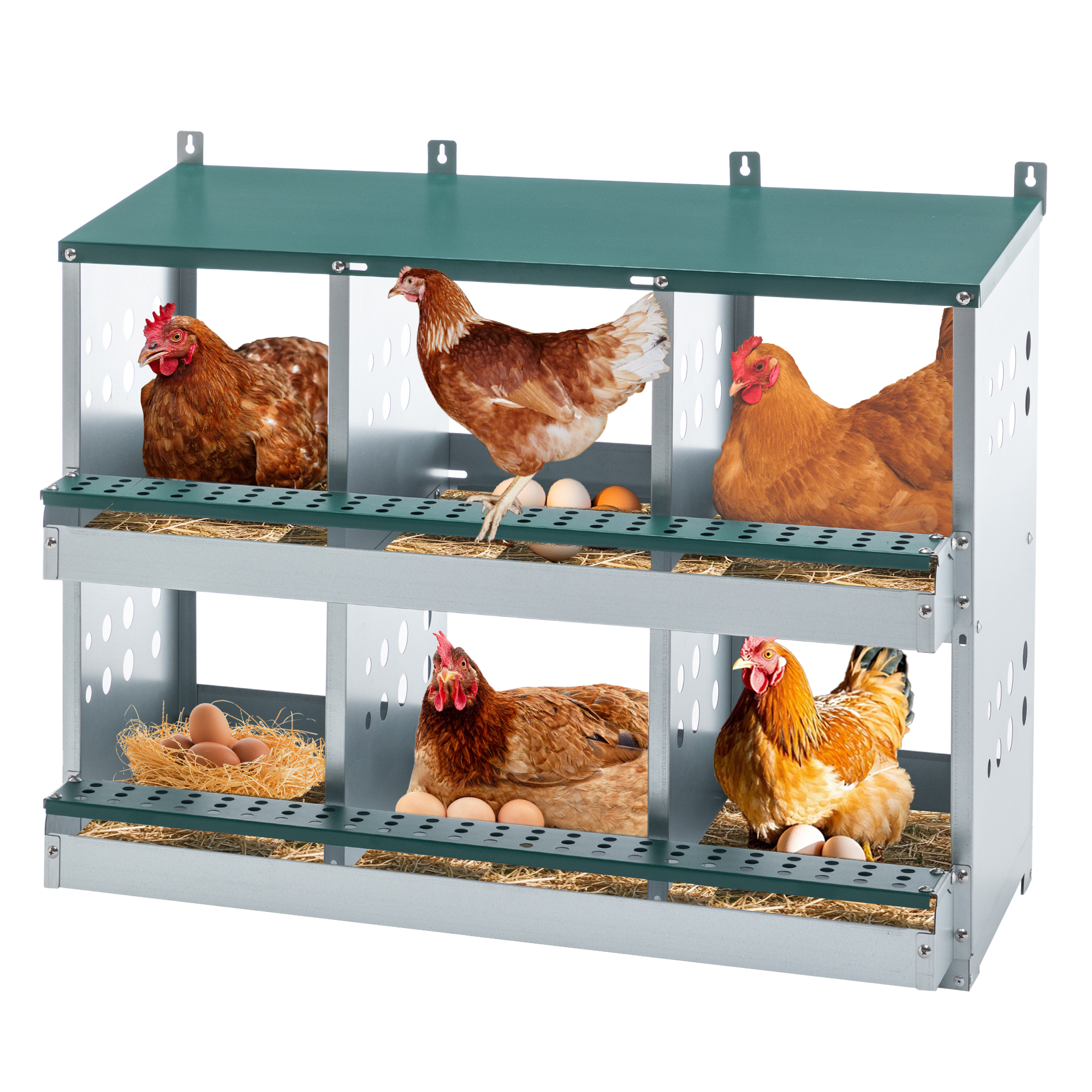 Caja de Puesta para Pollos con 6 Compartimentos Verde - Llegada Automática y Fácil Limpieza — imagen 1