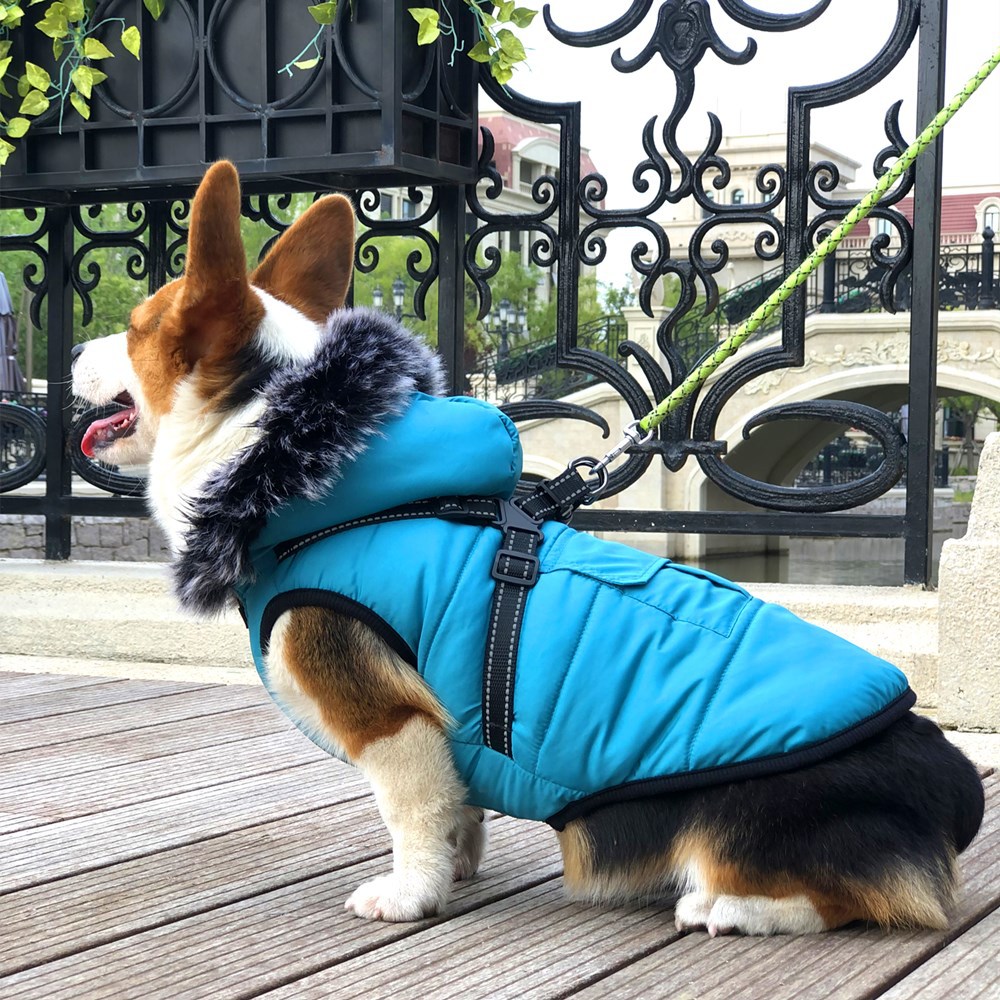 New Pet Cotton Clothes Reflective Warmth Dog Clothes Winter Wool Collar Plus Cotton Pet Clothing Cotton Vest Coat — image 4