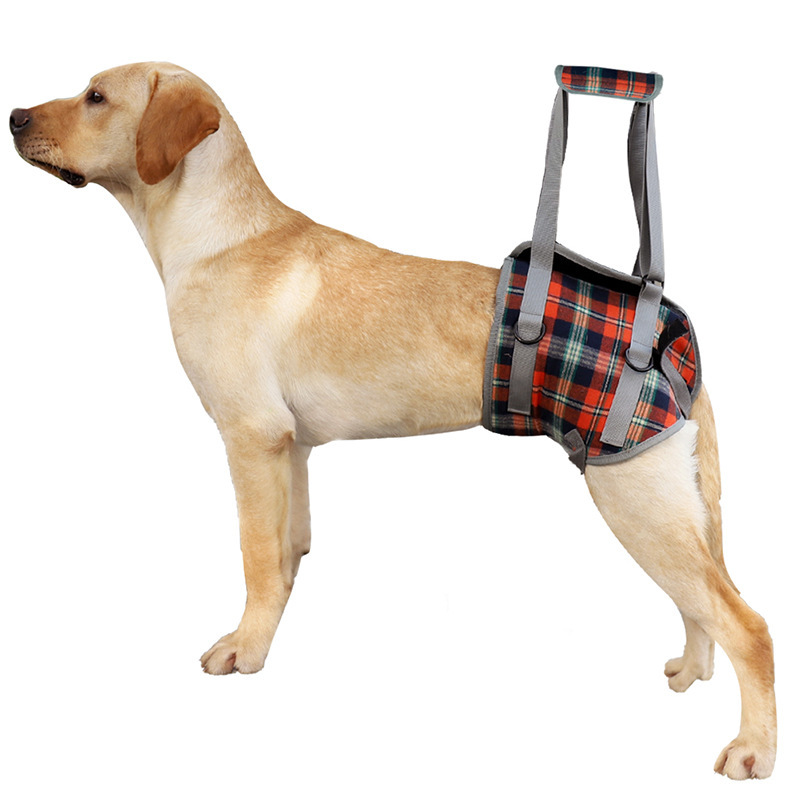 Pet Dog Leg Support Harness for Post-Surgery Recovery, Elderly Dogs, Large Breed Walking Assistance Brace — image 1
