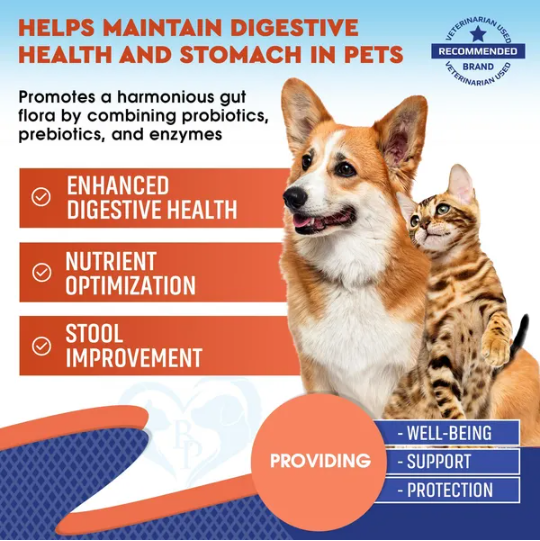 Suplementos Probióticos y Prebióticos con Enzimas para Perros y Gatos Salud Intestinal Completa Alimentos de Animales de Compañía — imagen 3