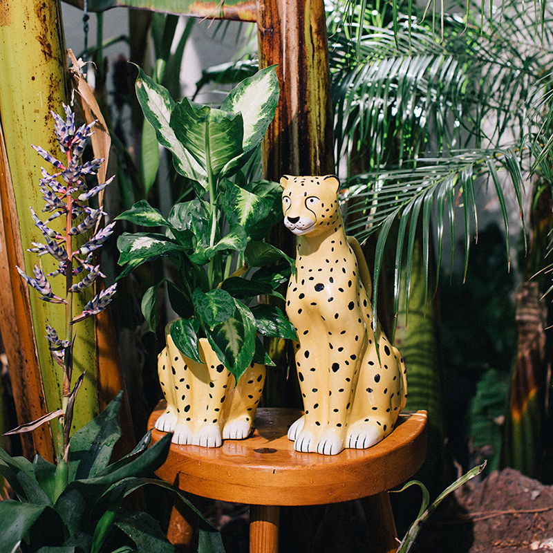 Decorate Leopard Flower And Primitive Jungle — image 2